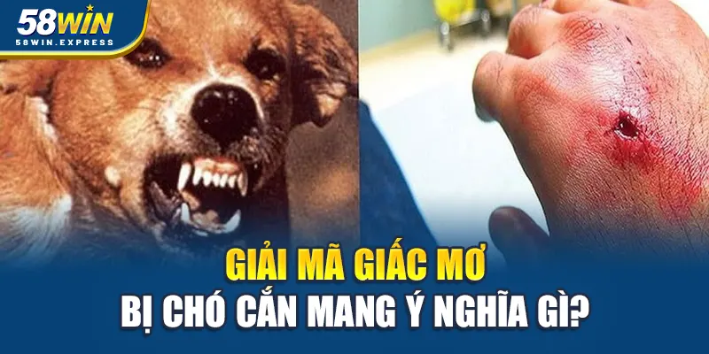giai-ma-giac-mo-bi-cho-can-mang-y-nghia-gi-