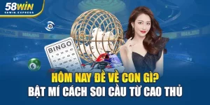 hom-nay-de-ve-con-gi