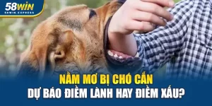 nam-mo-bi-cho-can-du-bao-diem-lanh-hay-diem-xau-