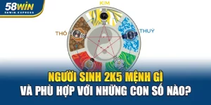 2k5-menh-gi