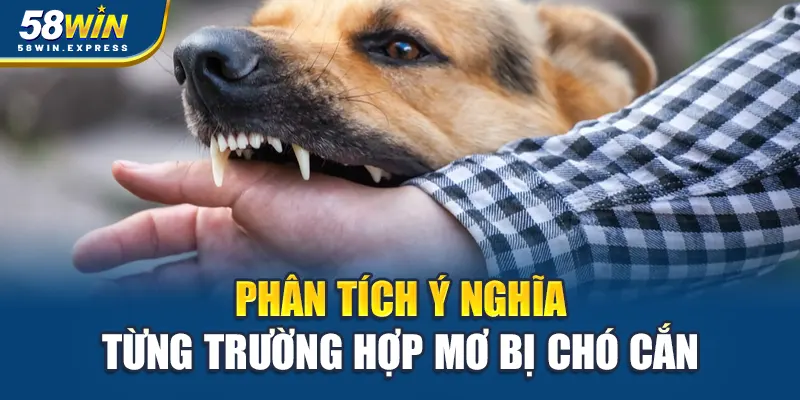 phan-tich-y-nghia-tung-truong-hop-mo-bi-cho-can