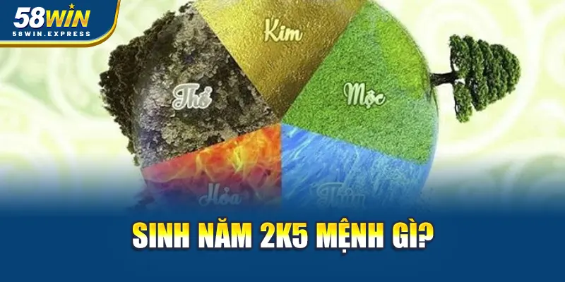 sinh-nam-2k5-menh-gi-