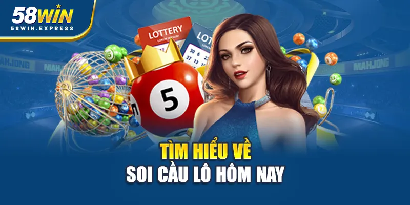 tim-hieu-ve-soi-cau-lo-hom-nay